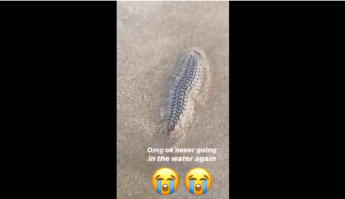 Cô nàng chia sẻ trên story Instagram của mình rằng: "Never going in the water again" (Không bao giờ xuống nước nữa).