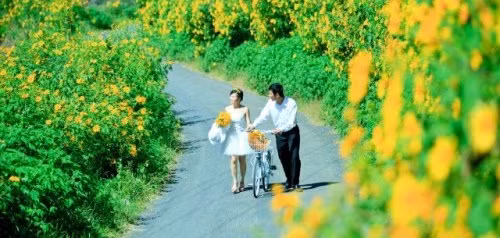 9 con duong hoa dep nhát Viẹt Nam, say long gioi tre-Hinh-8