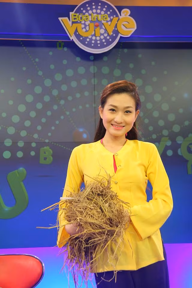  Sau khi kết thúc vai trong Nhật ký Vàng Anh, cô vào đài truyền hình và làm việc tại kênh VTV6. Mới đây, cô trở lại sự nghiệp diễn xuất trong bộ phim Hai đám cưới một đời chồng của đạo diễn Khải Anh.