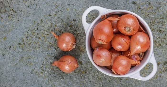 Loai qua nghe ten la nhung cuc ky tot cho suc khoe ma nhieu nguoi it biet