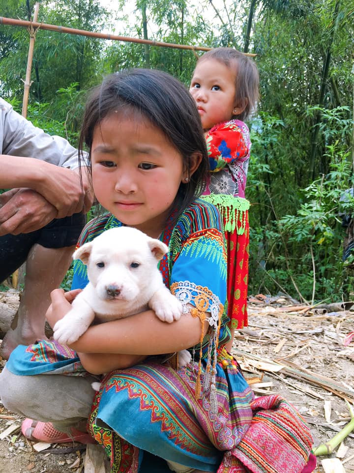 Theo anh Lý Ngọc, người trực tiếp chia sẻ câu chuyện trên trang cá nhân cho biết gia đình có chú chó con muốn bán lấy tiền để chống COVID-19 nhưng bé gái vùng cao cứ ôm chặt chú chó nhỏ và nói: "Chú đừng bắt con chó này của cháu, cháu không cho đâu".