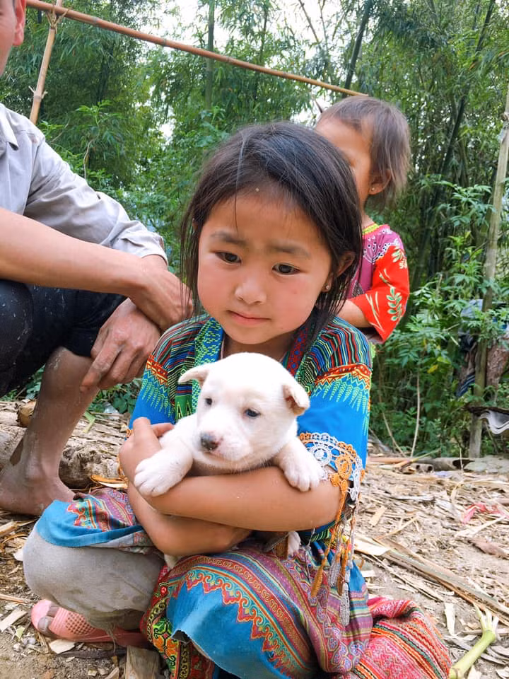 Chủ nhân câu chuyện trên chia sẻ thêm: "Chuyện cũng từ 1/4 rồi. Hôm ấy mình có tìm đến nhà một gia đình người H'mông trên Hoàng Su Phì thì bắt gặp đàn chó cộc này. Chủ nhà cũng đồng ý bán nhưng bé gái con chủ nhà cứ ôm khư khư con chó, nhất định không muốn để mình mang đi. Nghĩ một hồi, mình quyết định sẽ vẫn mua con chó nhưng để cho bé gái nuôi. Coi như hai chú cháu nuôi chung".