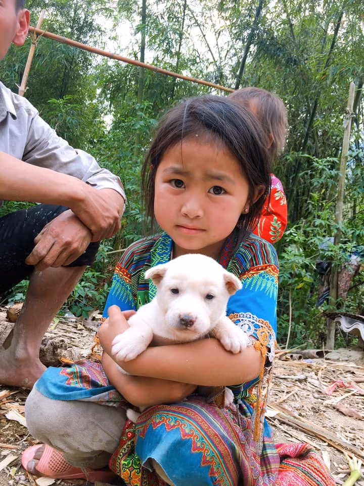 Nhìn thấy bé gái thiết tha quá, chó lại đẹp, đuôi cộc tịt lại có màu trắng bạch tạng, anh Lý Ngọc khó nghĩ. Thế nhưng vẫn quyết định mua, nhưng trả tiền rồi để cháu bé nuôi là chính, sẽ hỗ trợ thuốc men, tiêm phòng cho chú chó.