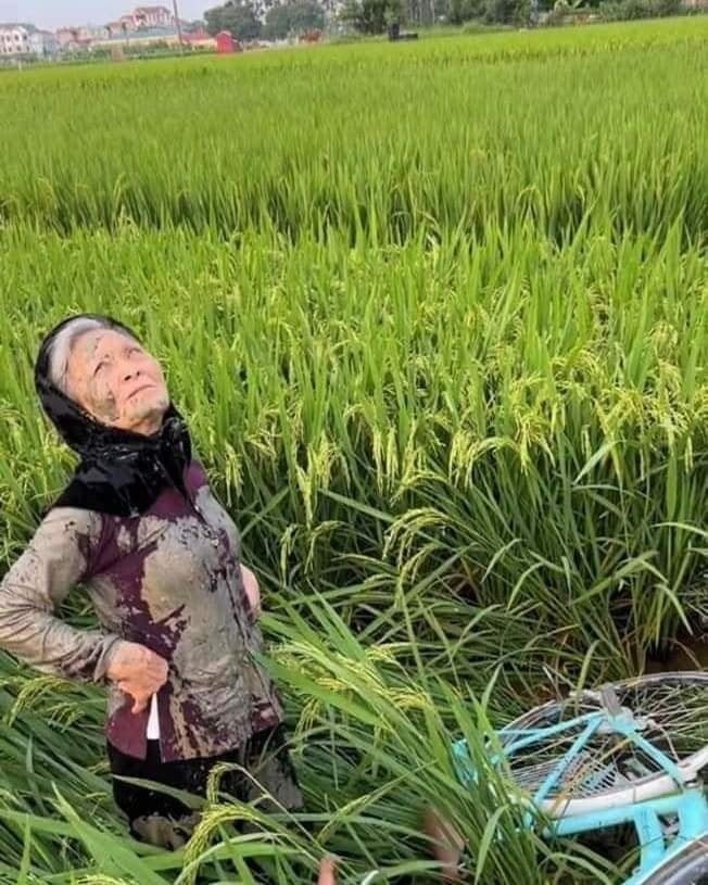 Đây chắc là người đã cầm lái. Dưới cái nhìn áp lực từ bà bạn, bà cụ chỉ biết nhìn trời đánh trống lảng.