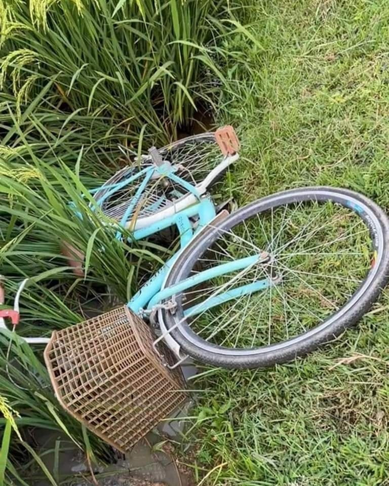 Không chỉ có 2 bà cụ là lấm lem hết bùn đất, chiếc xe đạp cũng bị ngã chúi xuống thửa ruộng.