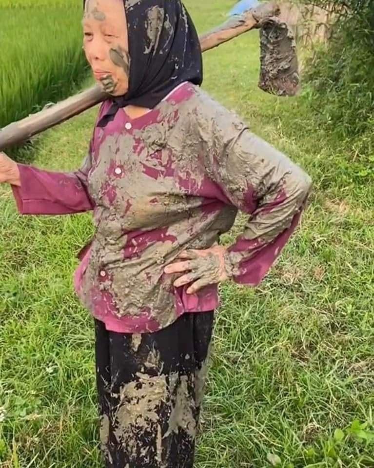 Còn đây chắc là "nạn nhân" của vụ tai nạn đồng quê này. Cái nhìn của bà cụ vừa bất lực, vừa như là tiếng thở than không thành lời.