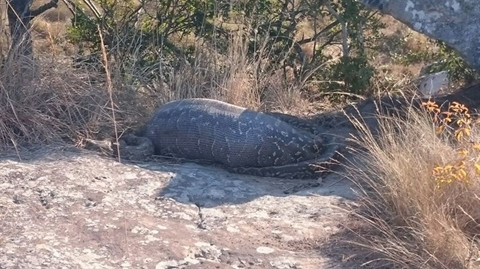 Mo xac tran khong lo phat hien su that chan dong-Hinh-5