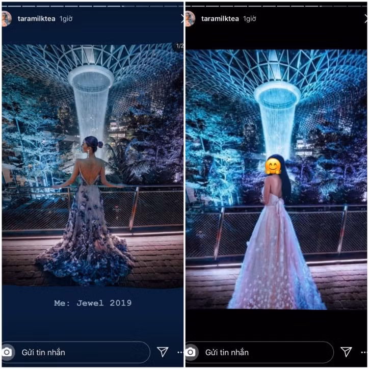 Nhiều ý kiến cho rằng Tara đang "xỉa xói" hành vi sống ảo trắng trợn của vợ hai Minh Nhựa. Cũng có người cho rằng nữ blogger Úc chỉ muốn chia sẻ 1 cách vui vẻ và thiện chí. 