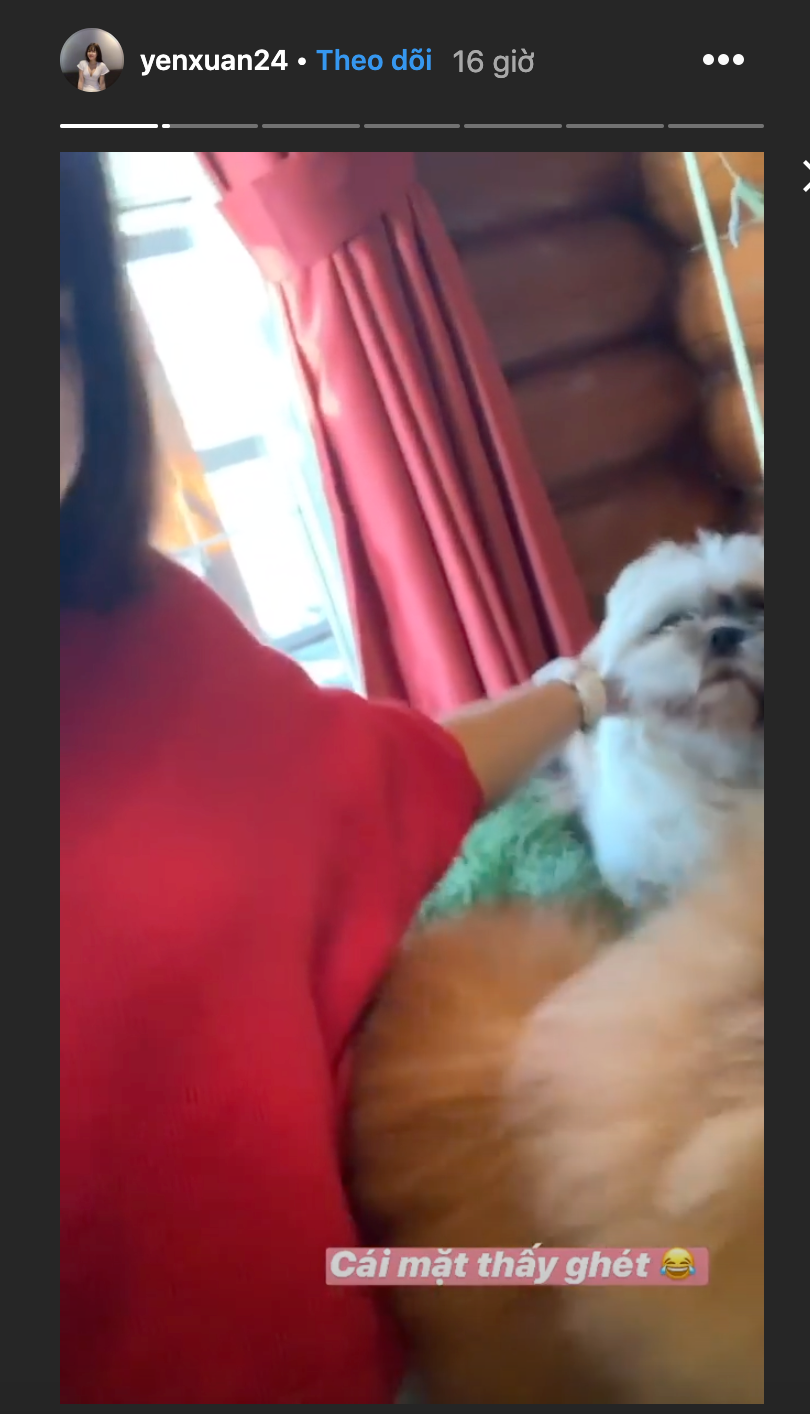 Yến Xuân khoe ảnh chơi cùng cún cưng nhà Lâm Tây. Chú cún này từng xuất hiện trong tấm hình gia đình thủ thành người Nga trước đó.