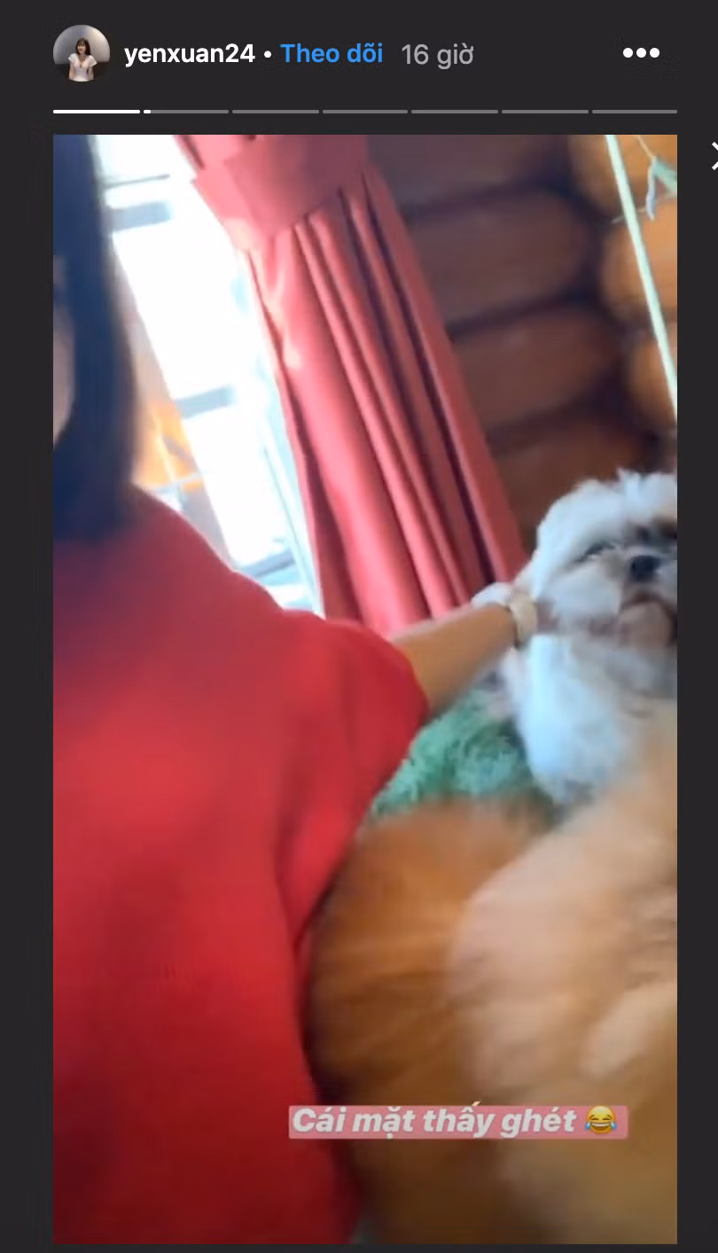 Yến Xuân khoe ảnh chơi cùng cún cưng nhà Lâm Tây. Chú cún này từng xuất hiện trong tấm hình gia đình thủ thành người Nga trước đó.