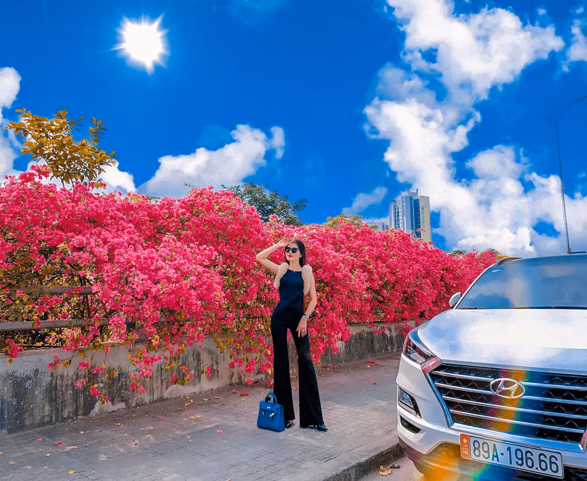 Tới đây chụp ảnh nên diện trang phục đơn sắc, càng đơn giản càng đẹp tránh bị rối mắt hay lẫn luôn vào đám hoa giấy.