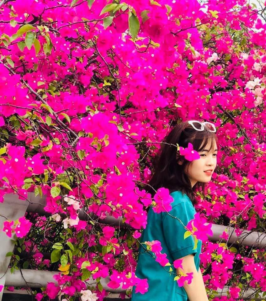 Mặc dù thời tiết tại Hà Nội đang cực kỳ nắng nóng thế nhưng theo một số bạn trẻ nghiện chụp ảnh "sống ảo" thì đây chính là thời điểm thích hợp nhất để sở hữu được một tấm hình có ánh sáng đẹp chuẩn.