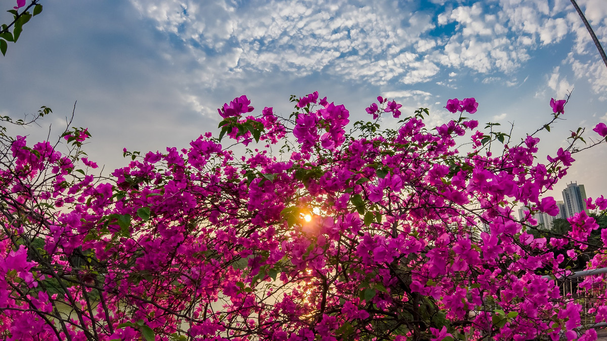 Nhiều người cho biết lượng bạn trẻ kéo đến cầu Bắc Hưng Hải là khá đông. Ngay cả thời điểm nắng gắt vẫn có nhiều cô nàng không ngần ngại thả dáng chụp ảnh.