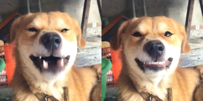 Sau khi hoàn thành quá trình đầy sảng khoái thì chốt lại bằng nụ cười thật tươi thôi.