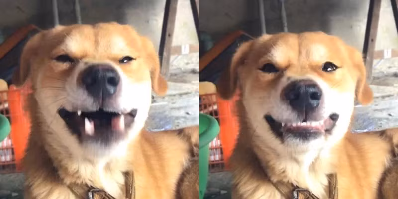 Sau khi hoàn thành quá trình đầy sảng khoái thì chốt lại bằng nụ cười thật tươi thôi.