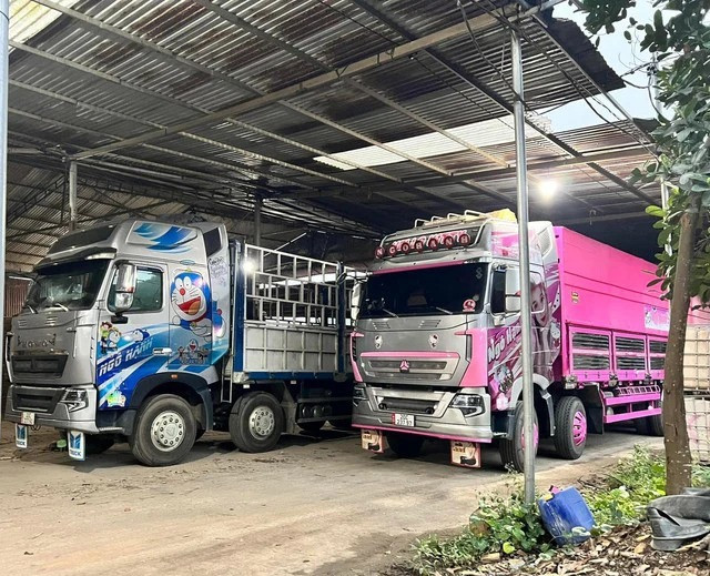 Nhà Ngô Hạnh sở hữu 2 chiếc xe và cả 2 đều được biến tấu cho dễ thương hơn rất nhiều.