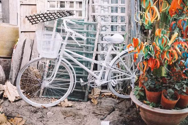 Hiện hình ảnh và chuyện tình “thương em anh trồng dàn hoa giấy” của đôi trẻ miền Tây vẫn được liên tục chia sẻ trong cộng đồng mạng.