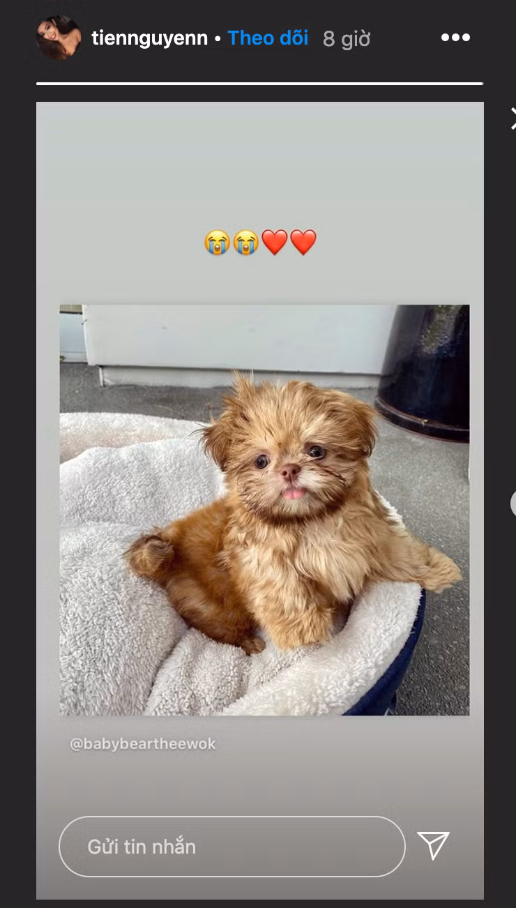 Vừa đoàn tụ với gia đình sau thời gian dài điều trị COVID-19, Tiên Nguyễn khoe ngay cún cưng trong dịp nghỉ lễ kéo dài.