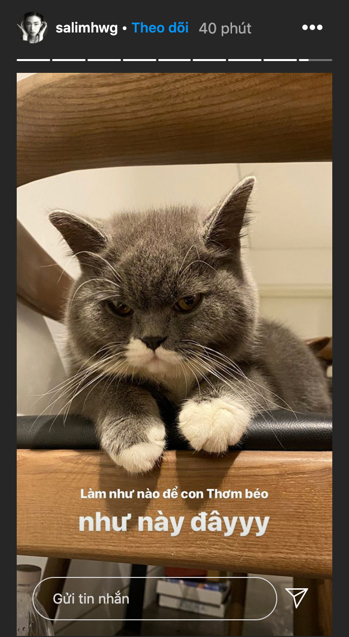 Salim dành ngày nghỉ tới nhà Hoàng Ku chơi với chú mèo cưng tên Xôi.