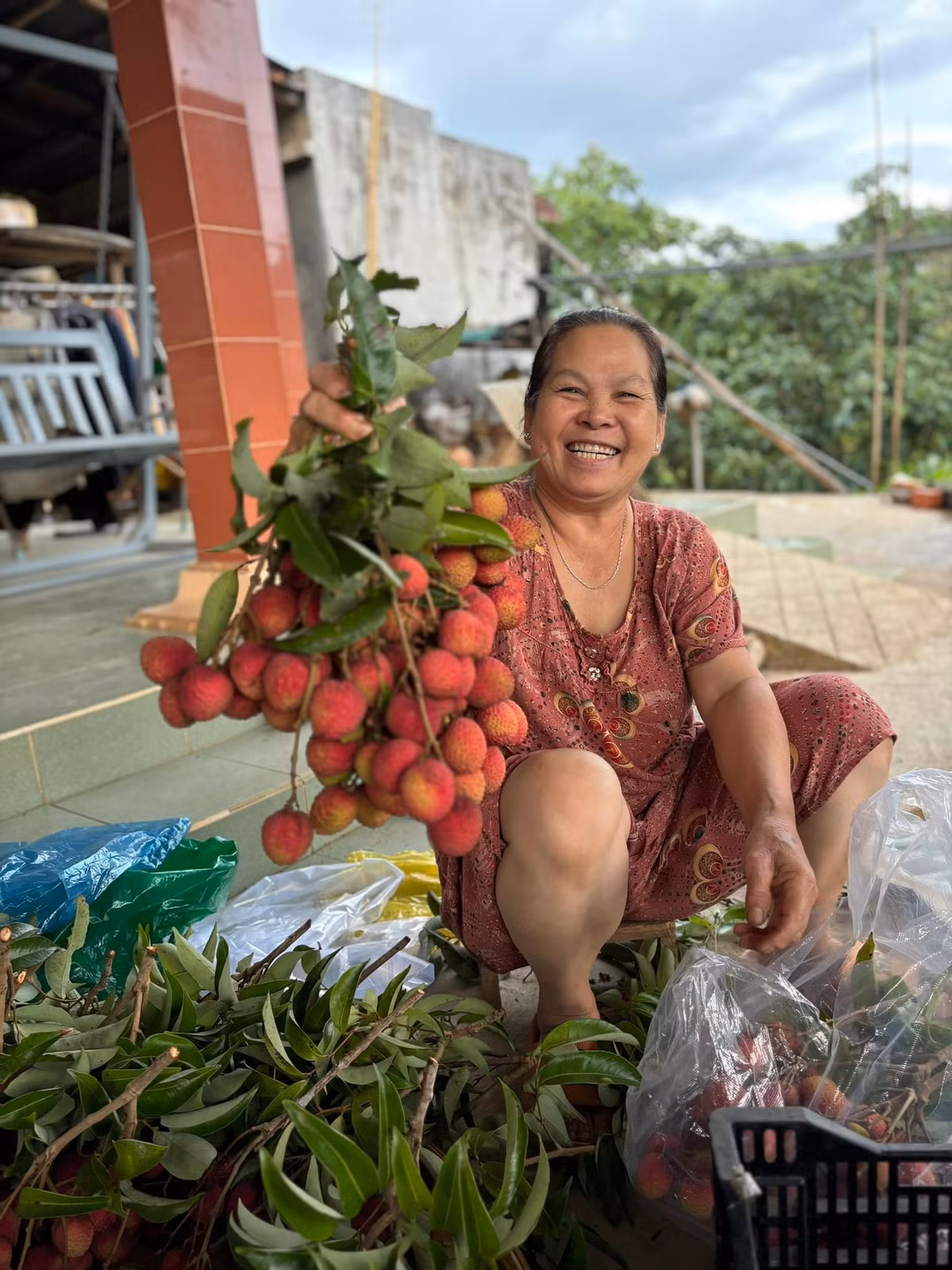 Năm nay vải khá được mùa nên mọi người trong nhà đều phấn khởi.