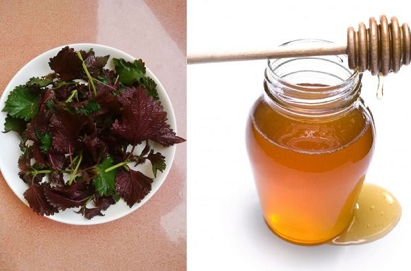 U42 trong cu nhu gai 24 chi nho la tia to re tien, mua dau cung duoc-Hinh-4