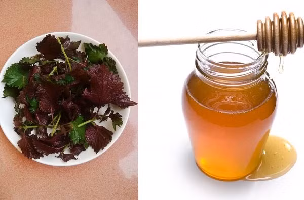 U42 trong cu nhu gai 24 chi nho la tia to re tien, mua dau cung duoc-Hinh-4