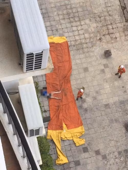 Xon xao tiep vien hang khong nhay lau tu tu vi tinh-Hinh-2