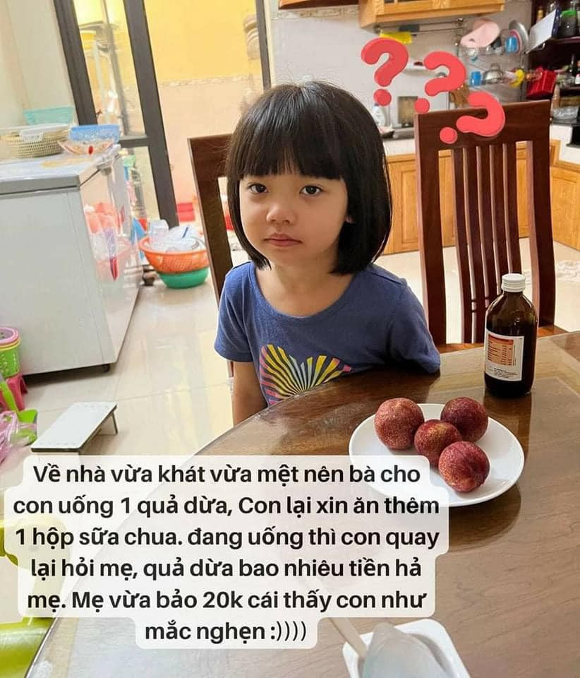 "Về nhà vừa khát vừa mệt nên bà cho con uống 1 quả dừa, con lại xin ăn thêm 1 hộp sữa chua. Đang uống thì con quay lại hỏi mẹ, quả dừa bao nhiêu tiền hả mẹ. Mẹ vừa bảo 20k cái thấy con như mặc nghẹn."