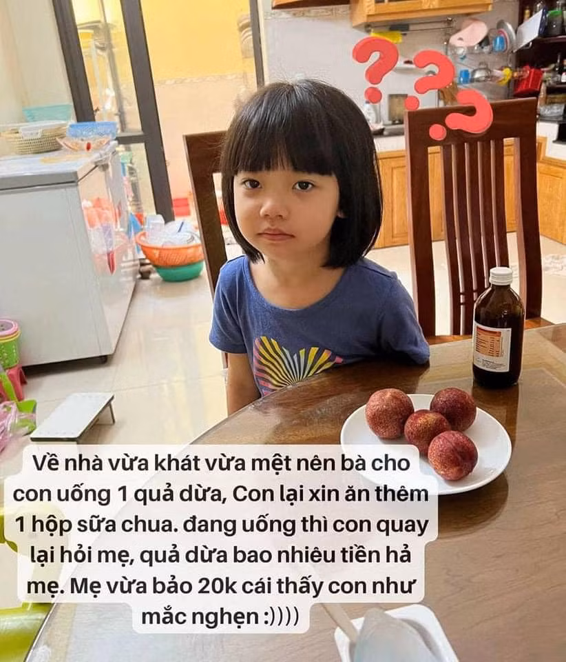 "Về nhà vừa khát vừa mệt nên bà cho con uống 1 quả dừa, con lại xin ăn thêm 1 hộp sữa chua. Đang uống thì con quay lại hỏi mẹ, quả dừa bao nhiêu tiền hả mẹ. Mẹ vừa bảo 20k cái thấy con như mặc nghẹn."