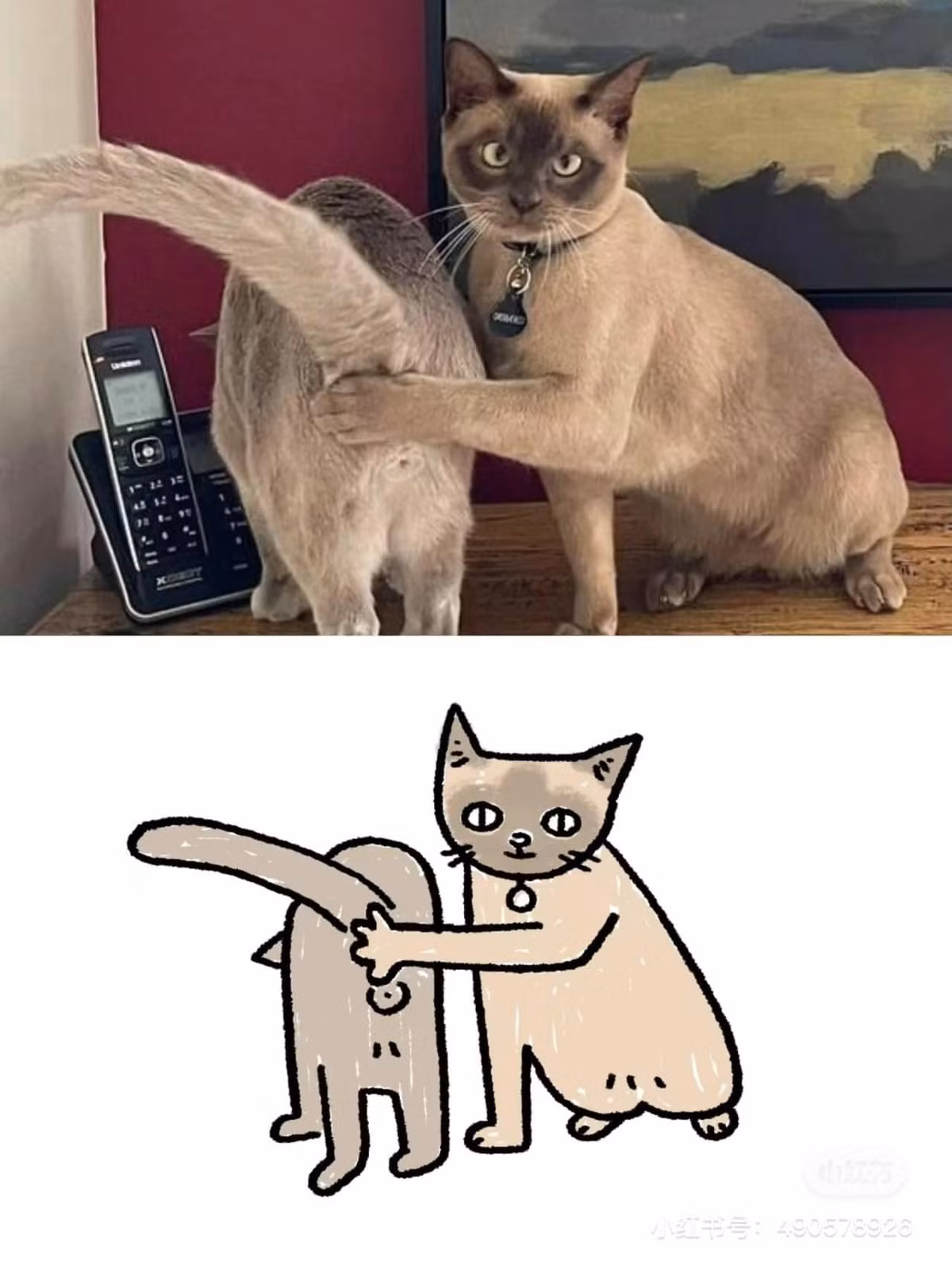 Những chỗ nên che thì cần che nha.