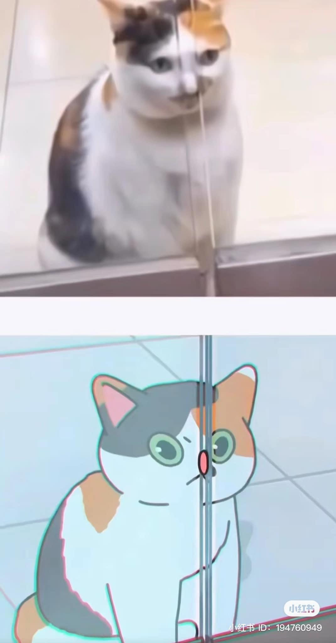 Đôi khi, những con vật thân thiết với chúng ta như chó mèo có những biểu cảm không ai hiểu nổi.