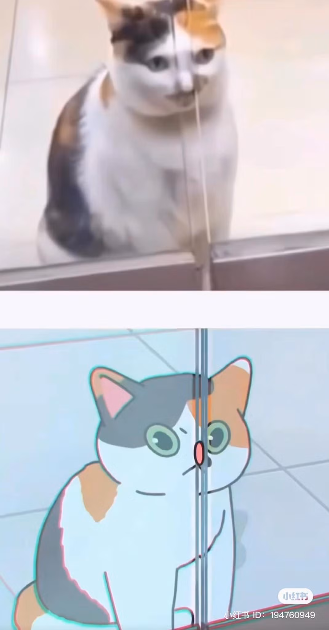 Đôi khi, những con vật thân thiết với chúng ta như chó mèo có những biểu cảm không ai hiểu nổi.