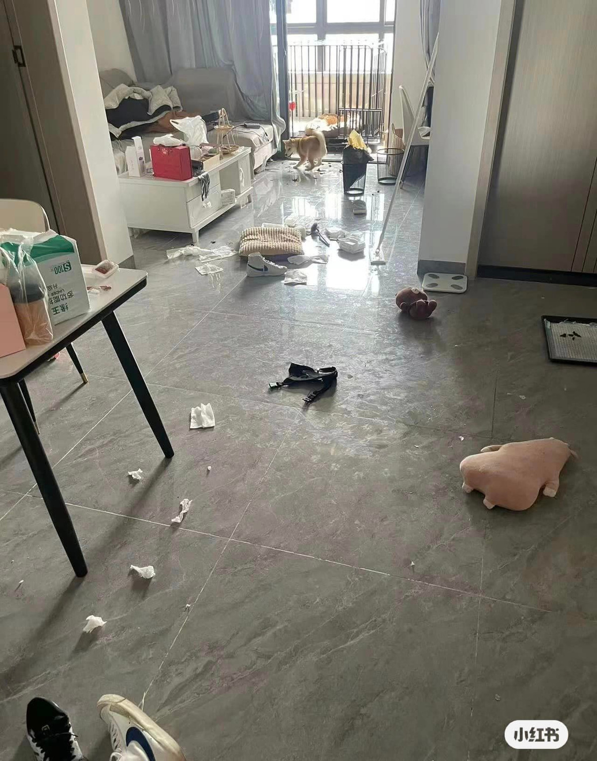 Tưởng tượng đi làm 1 ngày về và bắt gặp cảnh này...