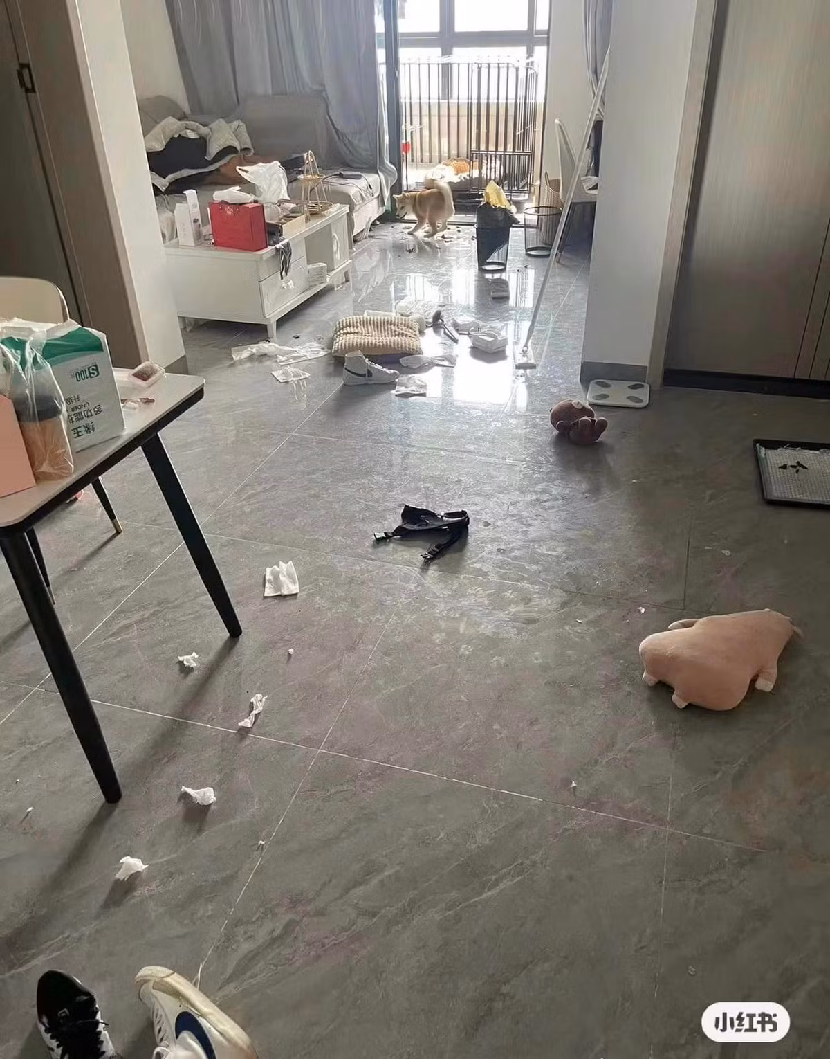 Tưởng tượng đi làm 1 ngày về và bắt gặp cảnh này...