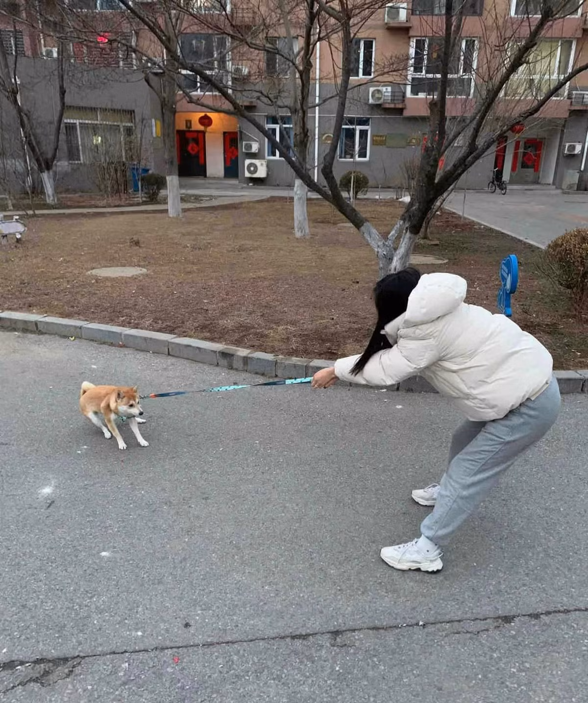 Đi làm hết ngày này đến ngày khác, đến cuối tuần muốn được nghỉ ngơi thì lại phải dẫn báo thủ này đi dạo.