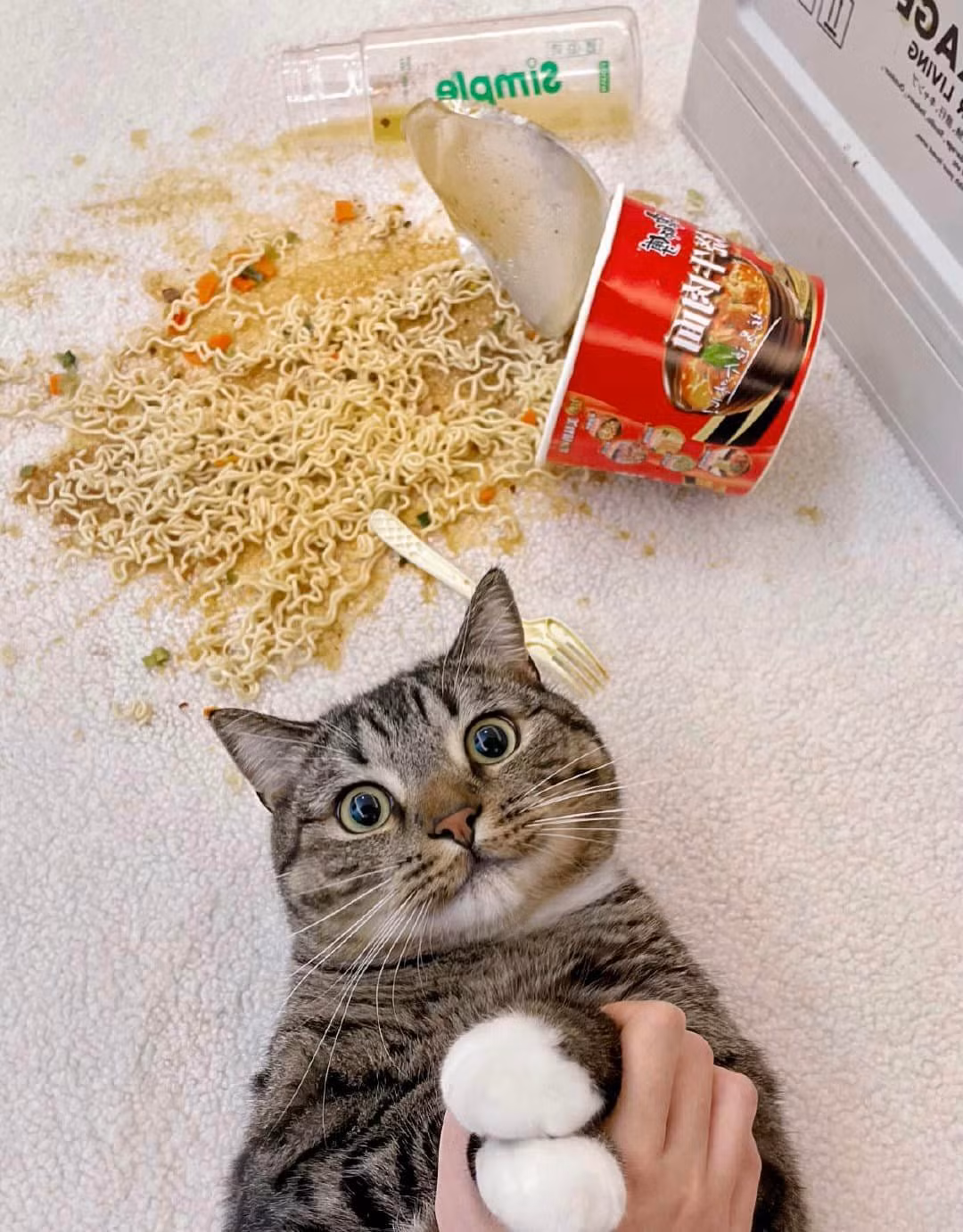 Bắt được quả tang "thủ phạm" ngay tại hiện trường "gây án".