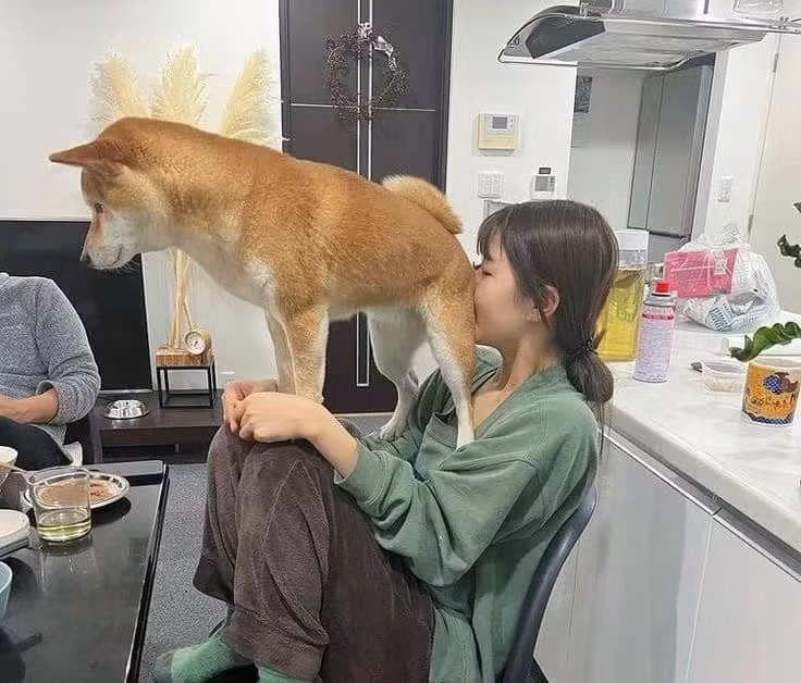 Ngồi lên cả mặt thế này thì không biết ai mới là chủ đây...