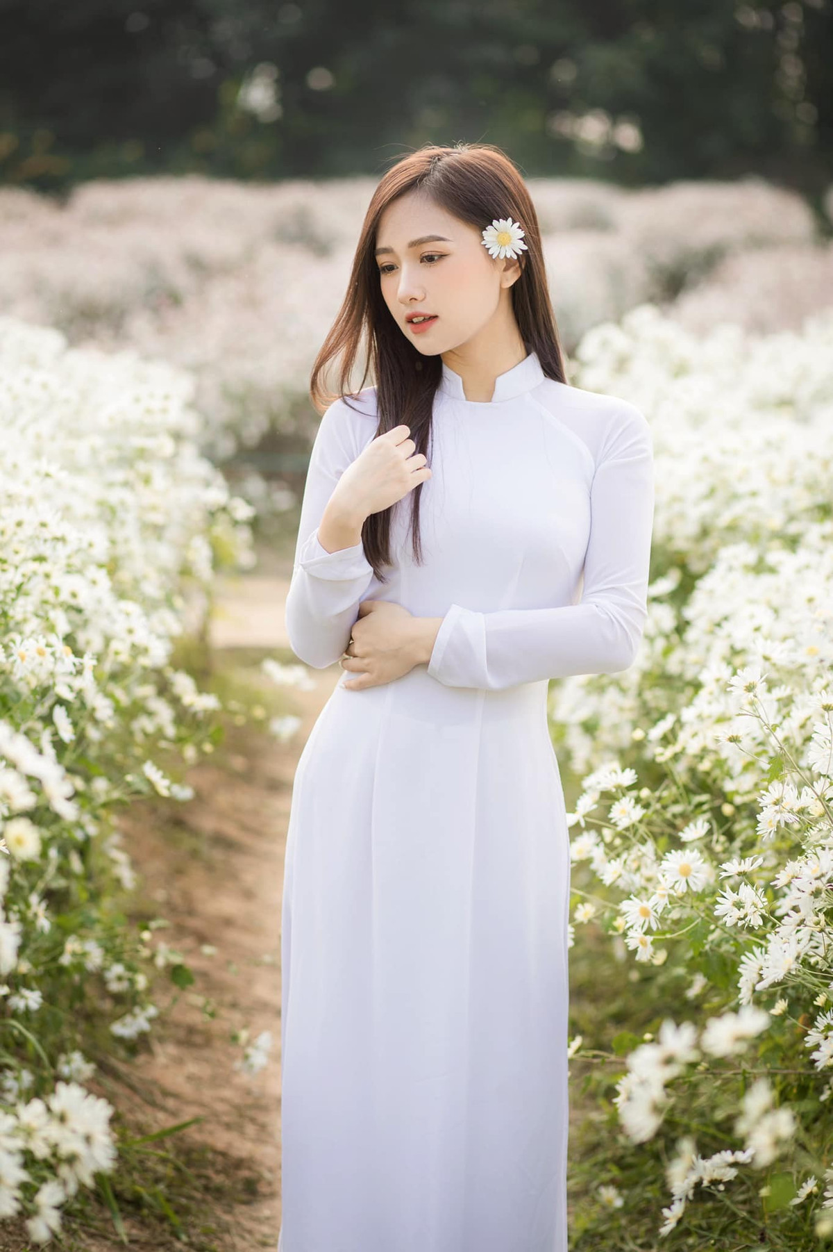 Nàng hot girl 1998 duyên dáng trong tà áo dài giữa khu vườn cúc họa mi.