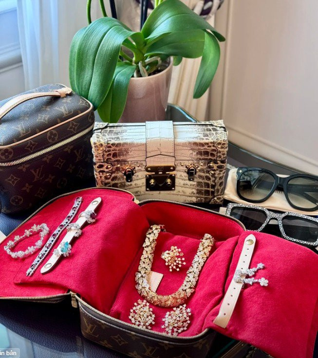 Bên cạnh chiếc clutch bằng da cá sấu bạch tạng, cô còn kết hợp với loạt phụ kiện trang sức, đá quý lộng lẫy.