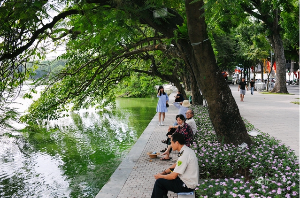 Nhung dieu cac ban tre nhat dinh phai thu khi Ha Noi vao thu-Hinh-8