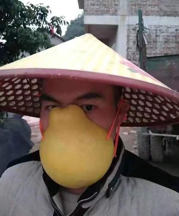 Không thể mua được khẩu trang thì dùng tạm sản phẩm "cây nhà lá vườn". Đẹp lại rất thơm mỗi một điểm trừ là không tránh được virus.