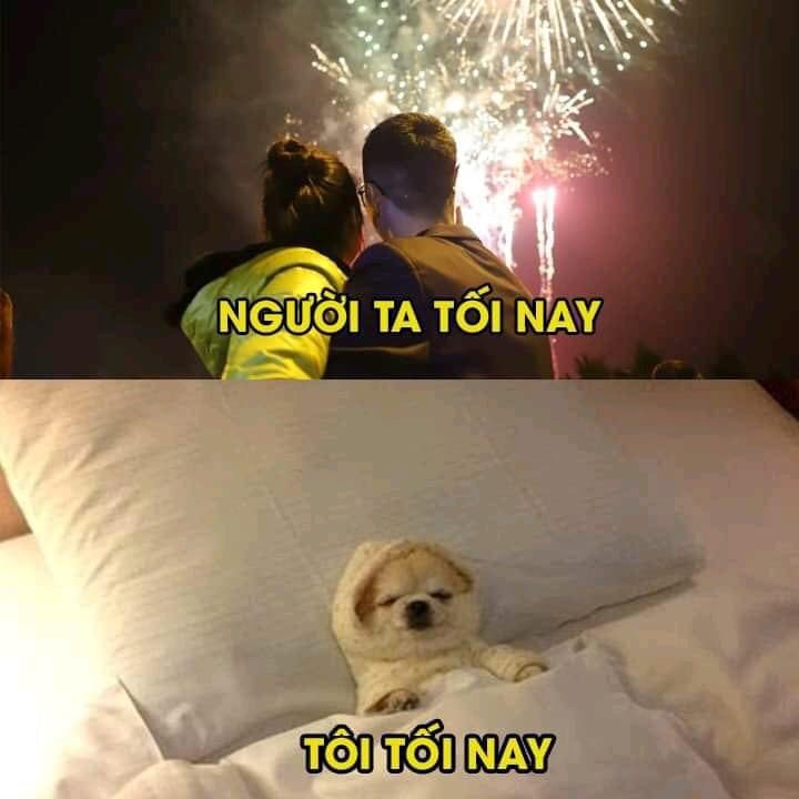 Ai phải nghị lực lắm mới dám ra đường du xuân trong tình hình thời tiết thế này, còn lại chấp nhận ở nhà chào xuân trên giường.