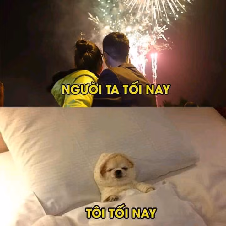 Ai phải nghị lực lắm mới dám ra đường du xuân trong tình hình thời tiết thế này, còn lại chấp nhận ở nhà chào xuân trên giường.