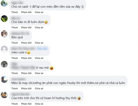 Nhiều người không khỏi dở khóc dở cười trước tình huống trớ trêu này.