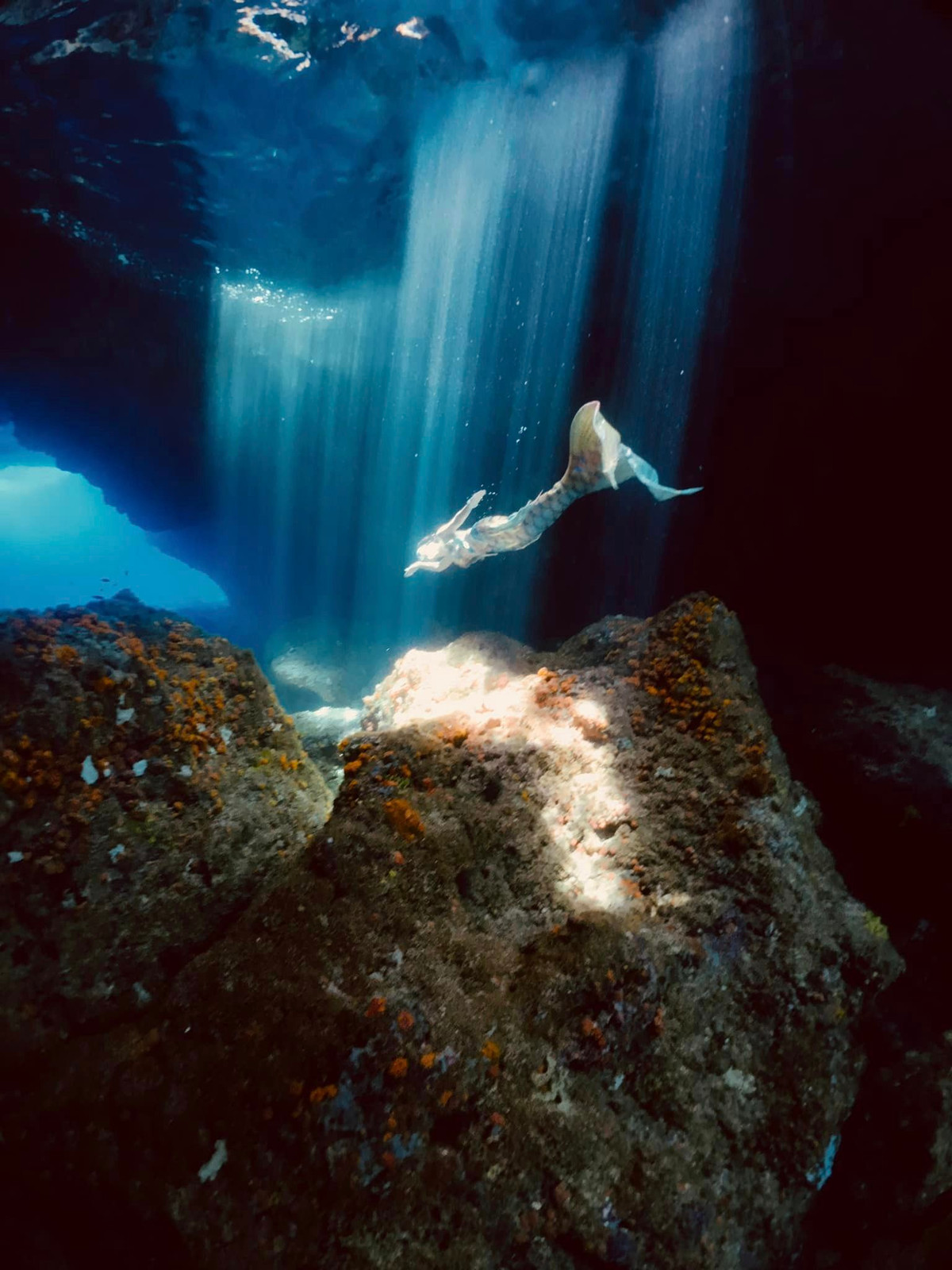 Tại đây, ngoài khám phá các điểm đến đẹp, chị còn trải nghiệm lặn biển, chụp ảnh “sống ảo” dưới đáy đại dương.