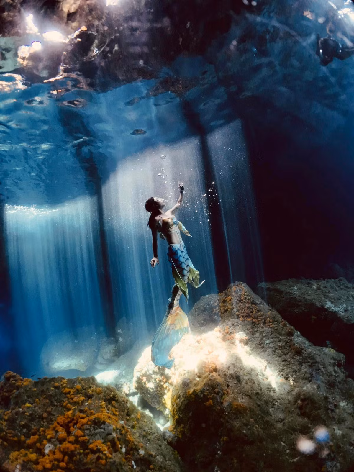 Chị Hằng biết đến bộ môn lặn biển cách đây một năm. Ban đầu, chị tham gia câu lạc bộ lặn biển với mục đích trau dồi, cải thiện sức khỏe. Song, càng thử, chị càng thích bộ môn này và thường xuyên đến những vùng biển trong và ngoài nước để khám phá vẻ đẹp dưới đáy đại dương.