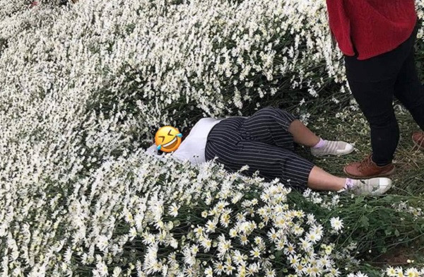 Đây không phải lần đầu tiên, những hình ảnh khách vào chụp hình rồi phá nát cả luống hoa xuất hiện trên mạng xã hội, lần nào cũng bị "ném đá" nhiệt tình thế nhưng các chị em dường như vẫn không biết rút kinh nghiệm, chụp hình theo cách văn minh hơn.