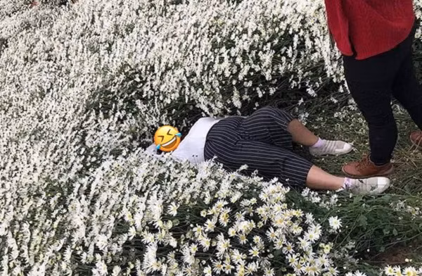 Đây không phải lần đầu tiên, những hình ảnh khách vào chụp hình rồi phá nát cả luống hoa xuất hiện trên mạng xã hội, lần nào cũng bị "ném đá" nhiệt tình thế nhưng các chị em dường như vẫn không biết rút kinh nghiệm, chụp hình theo cách văn minh hơn.