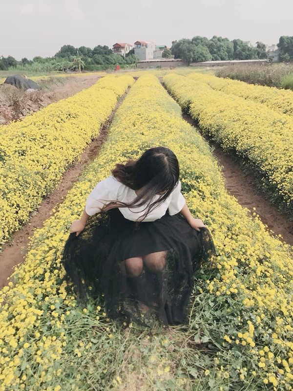 "Thu vài chục bạc để các bạn vào phá nát vườn hoa của người ta. Các bạn nên nhớ, mục đích chính của việc trồng hoa là để bán chứ không phục vụ các bạn vào chụp hình sống ảo. Dập nát hết hoa thế này thì buôn bán gì nữa? Toàn gái xinh mà vô ý thức" - Facebooker có tên T.T bức xúc.