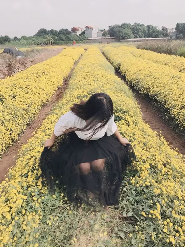 "Thu vài chục bạc để các bạn vào phá nát vườn hoa của người ta. Các bạn nên nhớ, mục đích chính của việc trồng hoa là để bán chứ không phục vụ các bạn vào chụp hình sống ảo. Dập nát hết hoa thế này thì buôn bán gì nữa? Toàn gái xinh mà vô ý thức" - Facebooker có tên T.T bức xúc.